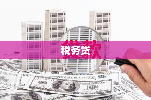 乐都税务贷