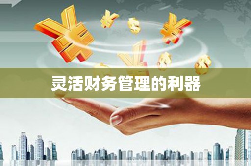 乐都灵活财务管理的利器