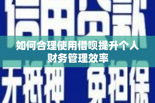 乐都如何合理使用借呗提升个人财务管理效率