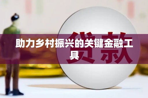 乐都助力乡村振兴的关键金融工具