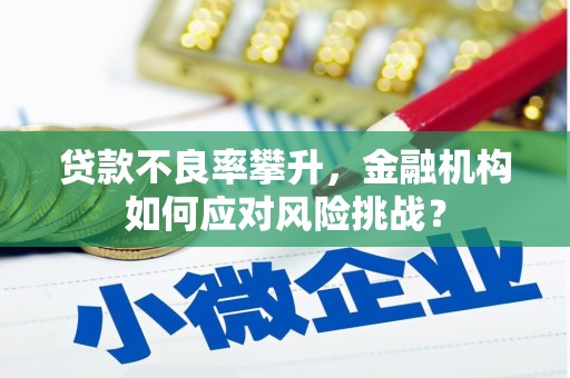 乐都贷款不良率攀升，金融机构如何应对风险挑战？