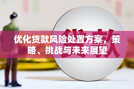 乐都优化贷款风险处置方案，策略、挑战与未来展望