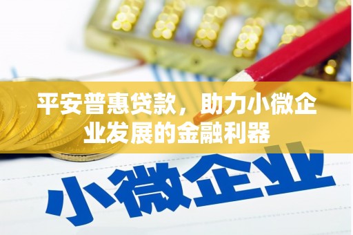 乐都平安普惠贷款，助力小微企业发展的金融利器