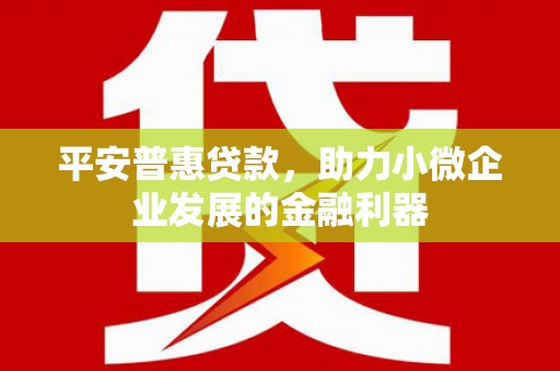 乐都平安普惠贷款，助力小微企业发展的金融利器