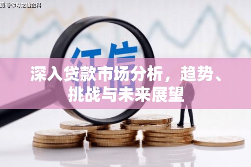 乐都深入贷款市场分析，趋势、挑战与未来展望