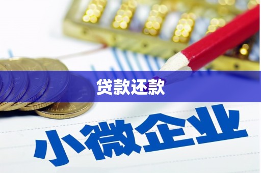 乐都贷款还款