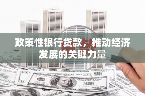 乐都政策性银行贷款，推动经济发展的关键力量