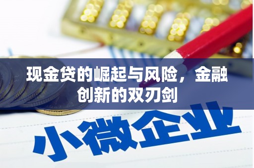 乐都现金贷的崛起与风险，金融创新的双刃剑