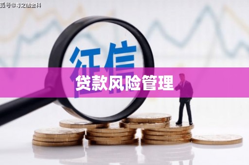 乐都贷款风险管理