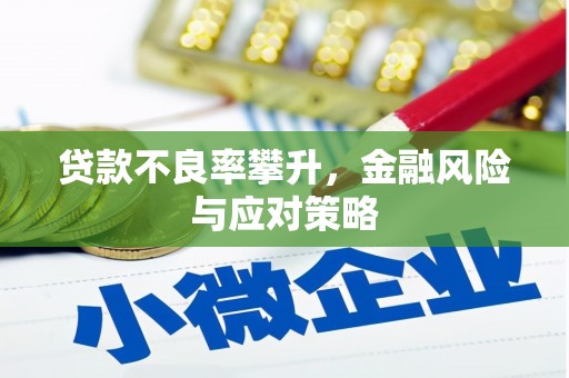 乐都贷款不良率攀升，金融风险与应对策略