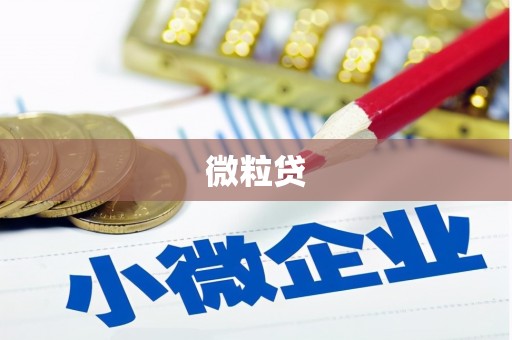 乐都微粒贷