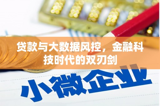乐都贷款与大数据风控，金融科技时代的双刃剑