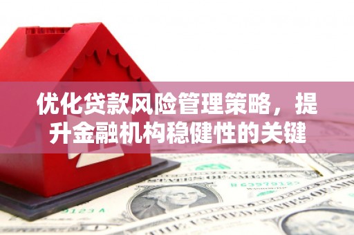 乐都优化贷款风险管理策略，提升金融机构稳健性的关键