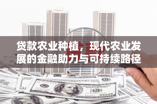 乐都贷款农业种植，现代农业发展的金融助力与可持续路径