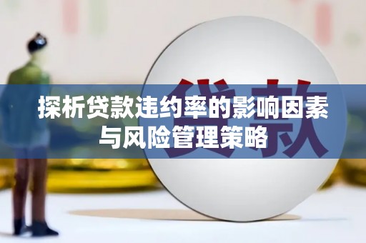 乐都探析贷款违约率的影响因素与风险管理策略