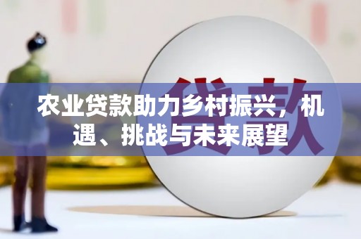 乐都农业贷款助力乡村振兴，机遇、挑战与未来展望