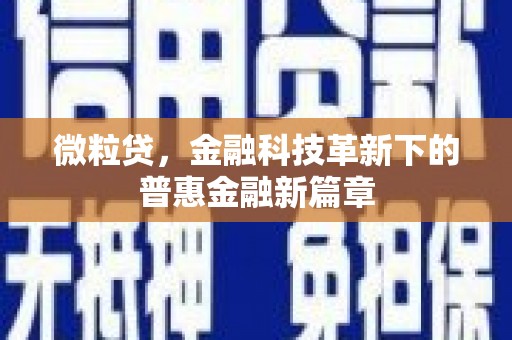 乐都微粒贷，金融科技革新下的普惠金融新篇章