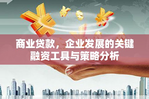 乐都商业贷款，企业发展的关键融资工具与策略分析