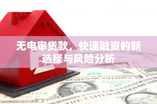 乐都无电审贷款，快速融资的新选择与风险分析