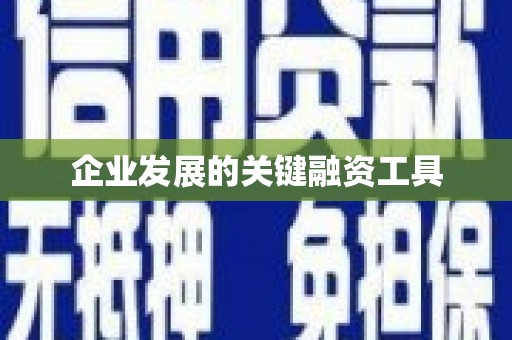 乐都企业发展的关键融资工具