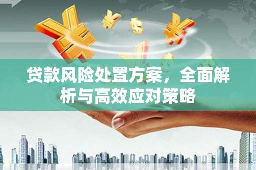 乐都贷款风险处置方案，全面解析与高效应对策略