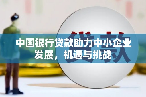 乐都中国银行贷款助力中小企业发展，机遇与挑战