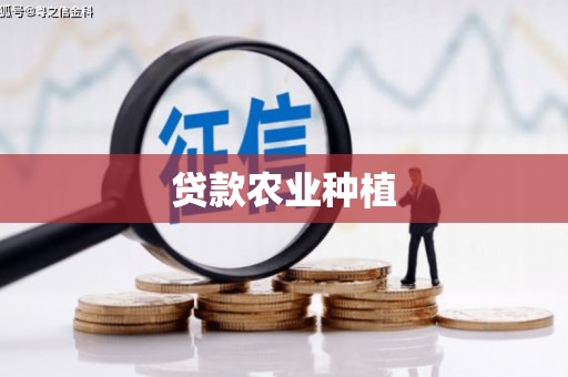 乐都贷款农业种植