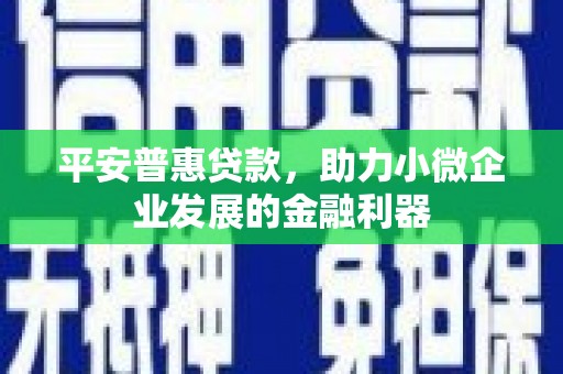 乐都平安普惠贷款，助力小微企业发展的金融利器
