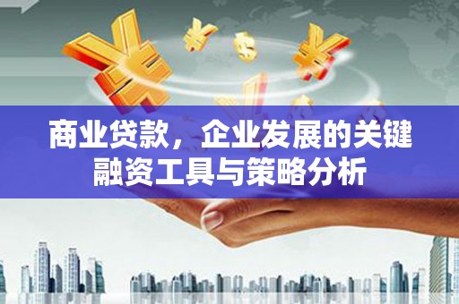 乐都商业贷款，企业发展的关键融资工具与策略分析