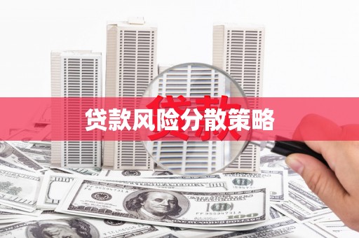 乐都贷款风险分散策略