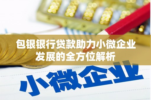 乐都包银银行贷款助力小微企业发展的全方位解析