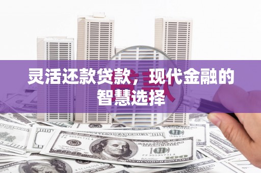 乐都灵活还款贷款，现代金融的智慧选择