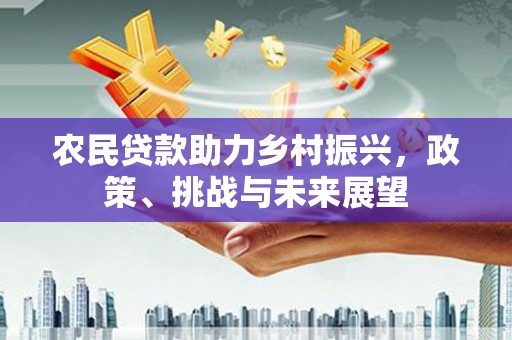 乐都农民贷款助力乡村振兴，政策、挑战与未来展望
