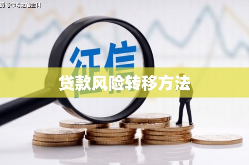 乐都贷款风险转移方法