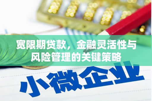 乐都宽限期贷款，金融灵活性与风险管理的关键策略
