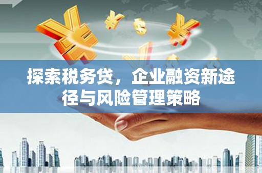 乐都探索税务贷，企业融资新途径与风险管理策略