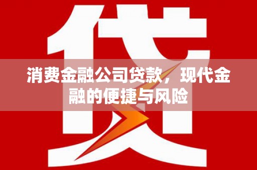 乐都消费金融公司贷款，现代金融的便捷与风险