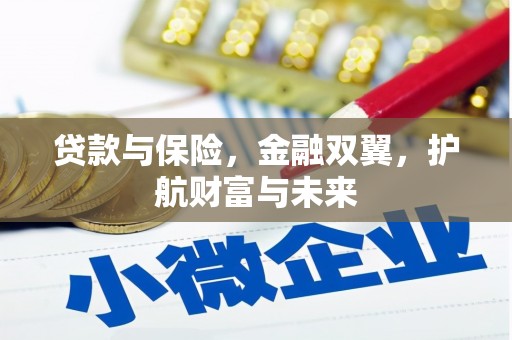 乐都贷款与保险，金融双翼，护航财富与未来