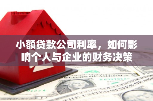 乐都小额贷款公司利率，如何影响个人与企业的财务决策