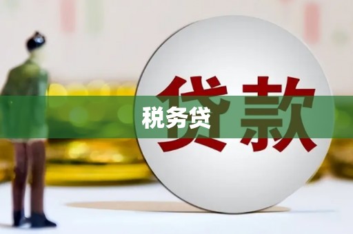 乐都税务贷