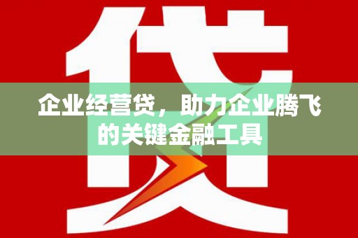 乐都企业经营贷，助力企业腾飞的关键金融工具