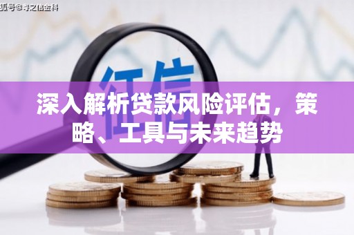 乐都深入解析贷款风险评估，策略、工具与未来趋势