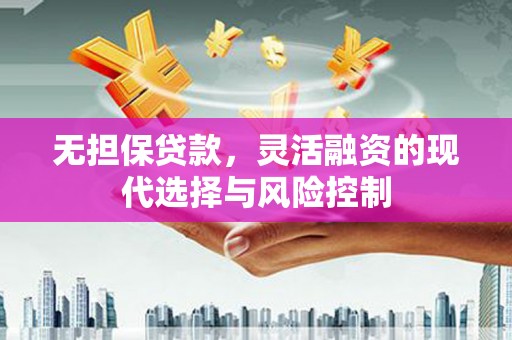 乐都无担保贷款，灵活融资的现代选择与风险控制