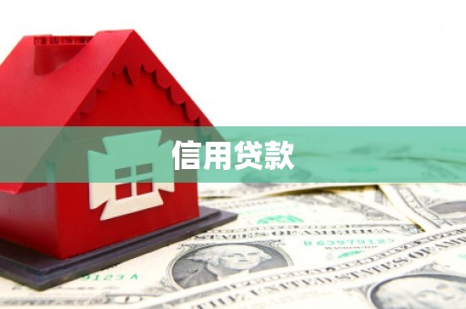 乐都信用贷款