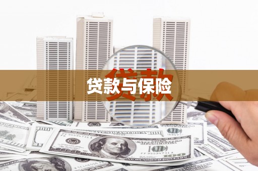 乐都贷款与保险