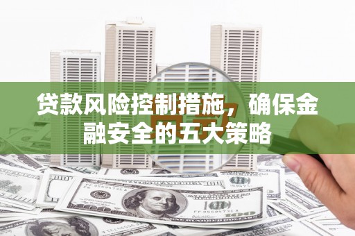 乐都贷款风险控制措施，确保金融安全的五大策略