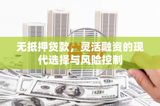 乐都无抵押贷款，灵活融资的现代选择与风险控制
