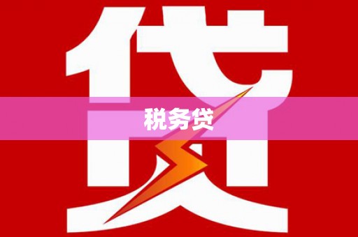 乐都税务贷