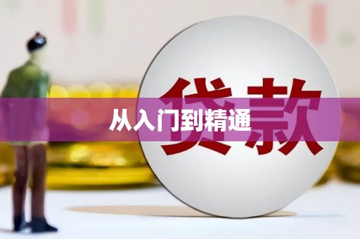 乐都从入门到精通