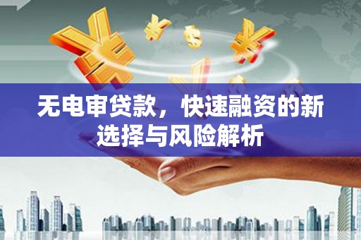 乐都无电审贷款，快速融资的新选择与风险解析